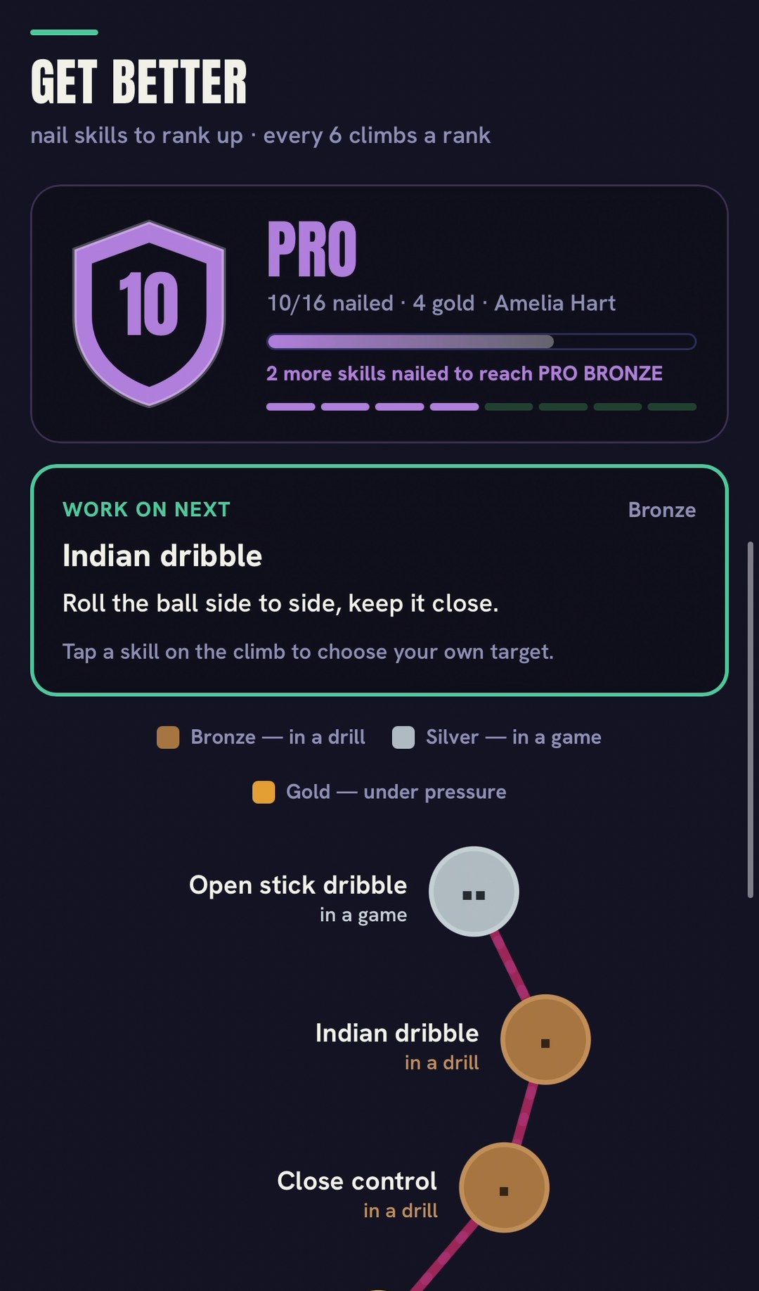A player's screen: rank, targets and the skills they have earned.